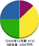 谷田組 貸借対照表 2009年12月期