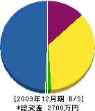 塚本電気工業 貸借対照表 2009年12月期