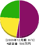 松山緑化園 貸借対照表 2009年12月期