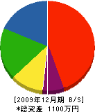 新井田建築 貸借対照表 2009年12月期