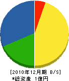 岩永設備 貸借対照表 2010年12月期