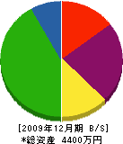 高島電機商会 貸借対照表 2009年12月期