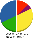藤田農園 貸借対照表 2009年12月期
