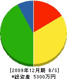 中沢塗装工業 貸借対照表 2009年12月期
