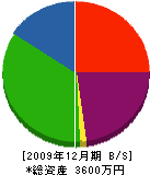 泉山勝工務店 貸借対照表 2009年12月期
