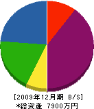 成田技建 貸借対照表 2009年12月期