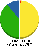 豊電気商会 貸借対照表 2010年12月期