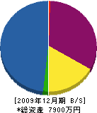 糸満総合造園 貸借対照表 2009年12月期