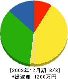 藤田工務店 貸借対照表 2009年12月期