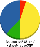 成田鉄工所 貸借対照表 2009年12月期