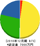 野村電気設備 貸借対照表 2010年12月期