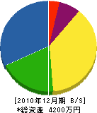 多田庭石店 貸借対照表 2010年12月期