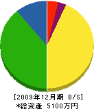 橋本設備 貸借対照表 2009年12月期
