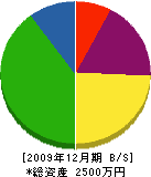松本住建 貸借対照表 2009年12月期