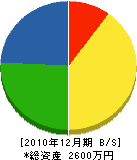 石井輝一商店 貸借対照表 2010年12月期