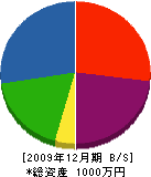 池田組 貸借対照表 2009年12月期