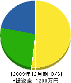 津田建設 貸借対照表 2009年12月期