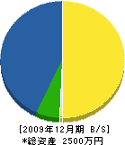 新栄土木 貸借対照表 2009年12月期