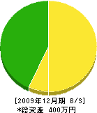 榎本建設 貸借対照表 2009年12月期