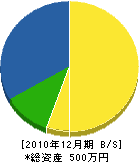 中川建設 貸借対照表 2010年12月期