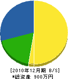 大矢工務店 貸借対照表 2010年12月期