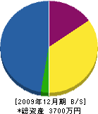 松岡建設 貸借対照表 2009年12月期