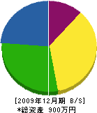 神谷水道工事店 貸借対照表 2009年12月期