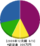 富士電気設備 貸借対照表 2009年12月期