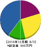矢田部産業 貸借対照表 2010年12月期