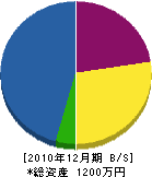 西川建設 貸借対照表 2010年12月期