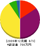 橋本畳店 貸借対照表 2009年12月期