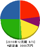 神尾鉄工所 貸借対照表 2010年12月期