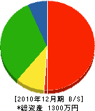京南電設工業 貸借対照表 2010年12月期