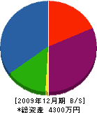 安江工務店 貸借対照表 2009年12月期