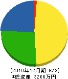 亀山鑿泉工業所 貸借対照表 2010年12月期