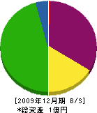 インテリア松野 貸借対照表 2009年12月期