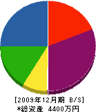 ヤスキ水道設備 貸借対照表 2009年12月期