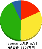 伊藤塗装店 貸借対照表 2009年12月期