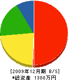 彦文開発 貸借対照表 2009年12月期