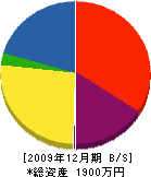 渡邉工務店 貸借対照表 2009年12月期