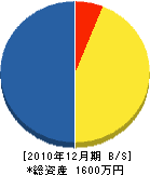 日新電設 貸借対照表 2010年12月期