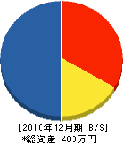 佐藤建業 貸借対照表 2010年12月期