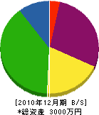 生野電気 貸借対照表 2010年12月期