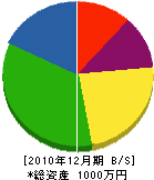 佐藤水道工事店 貸借対照表 2010年12月期