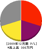 森田組 損益計算書 2009年12月期