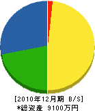 渡辺鉄工所 貸借対照表 2010年12月期