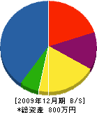 細田設備 貸借対照表 2009年12月期
