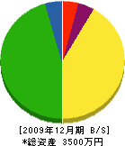 澤商会 貸借対照表 2009年12月期