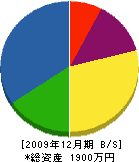 池田畳店 貸借対照表 2009年12月期