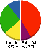 小泉工務店 貸借対照表 2010年12月期